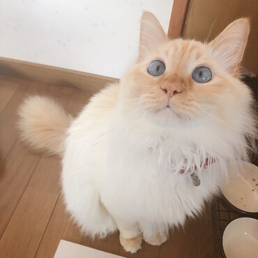 の写真