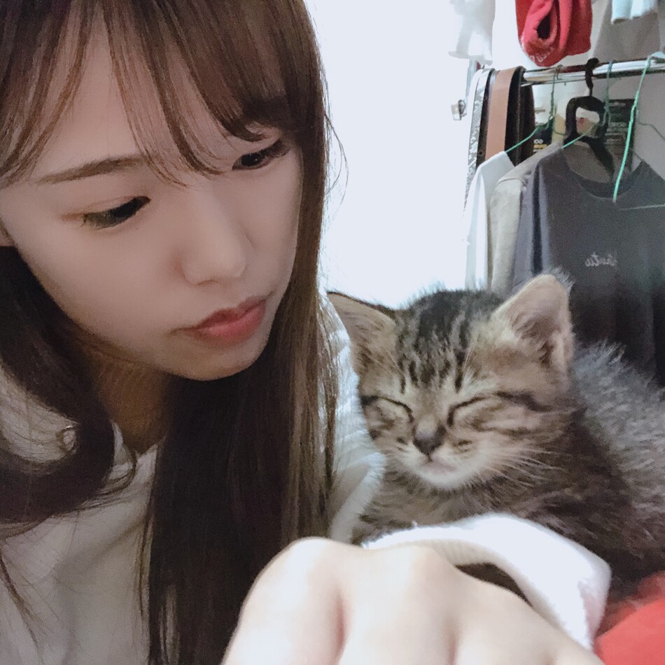 ウルのカバー写真