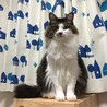 の写真