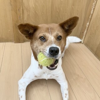遊ぶことが大好きな【アクロン】くん☆