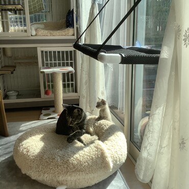 の写真