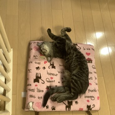 あったかい…
