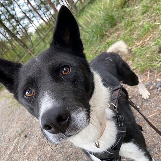 ひとが大好きな男の子【ホエル】くん！