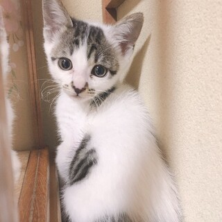 まだまだママが恋しい!ママになって下さい。