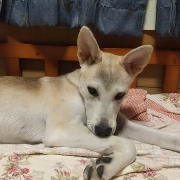 うちに来てひと月半