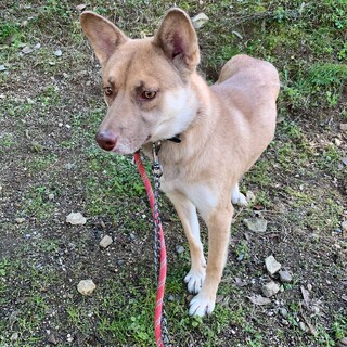 ブラウンの瞳が綺麗なみのりちゃん