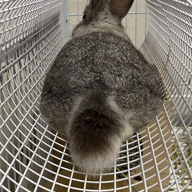 emma_xxxのカバー写真