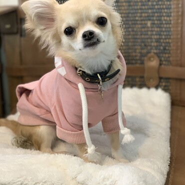 あたしくーちゃん