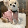 あたしくーちゃん