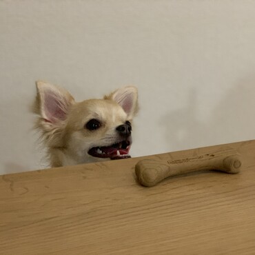 の写真