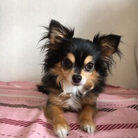 なの