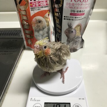 101g達成！大きくなったね！