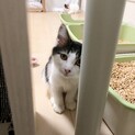❤︎よく食べます❤︎ムタ❤︎