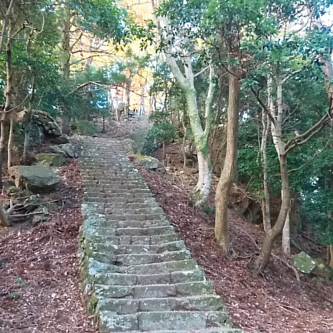 domuのカバー写真