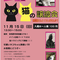 猫の譲渡会