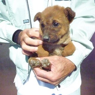 譲渡されました！！