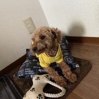からあげ