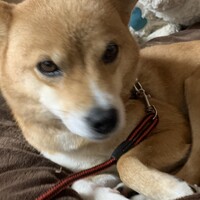みるん