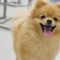 ミチ