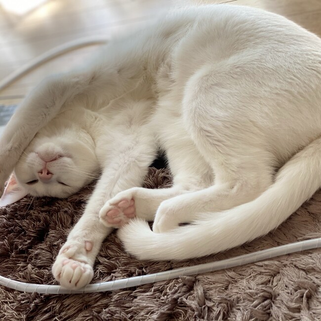 そらmama.のカバー写真