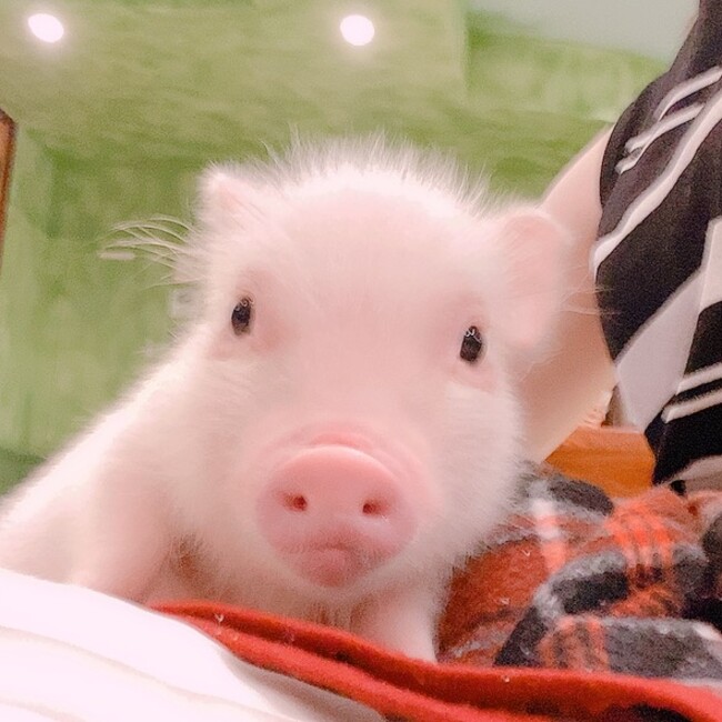 yukakのカバー写真