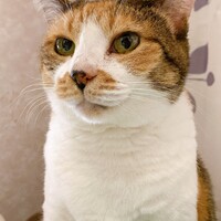 みー