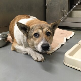 もっちゃりもっちり可愛い、セレナちゃん