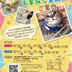 『保護猫のずっとのお家探し里親会』土曜日編。