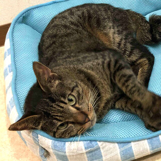 トライアル中、募集ストップしています