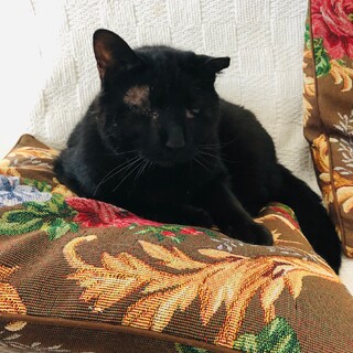 超フレンドリーこうたろう君