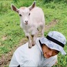 田舎っぺこうすけ