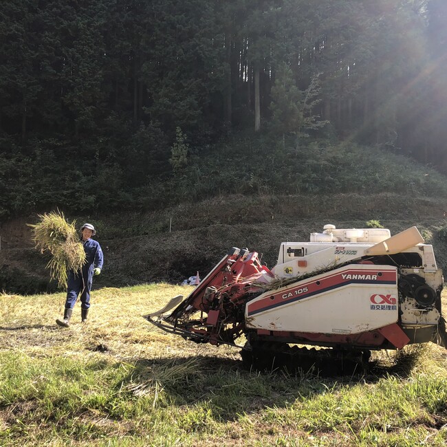 田舎っぺこうすけのカバー写真