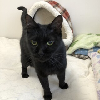 添い寝大好き♡エイズキャリアやまと