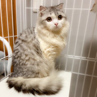 選考中ですが新規申込できないよう決定にします