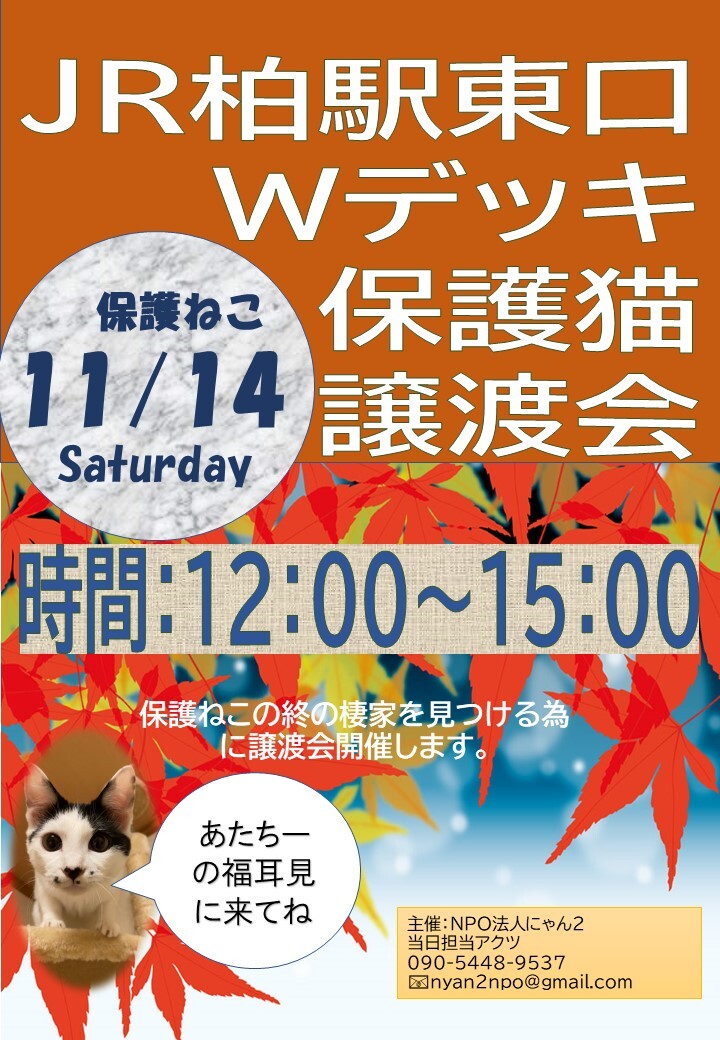 保護猫譲渡会 Jr柏駅東 Npo法人にゃん２のイベント 11018 ペットのおうち 月間利用者150万人