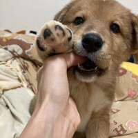 ビンゴ