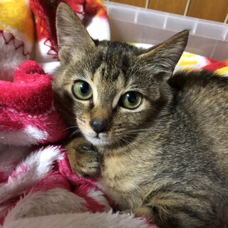 とても可愛い♡お利口のリコちゃんです♪
