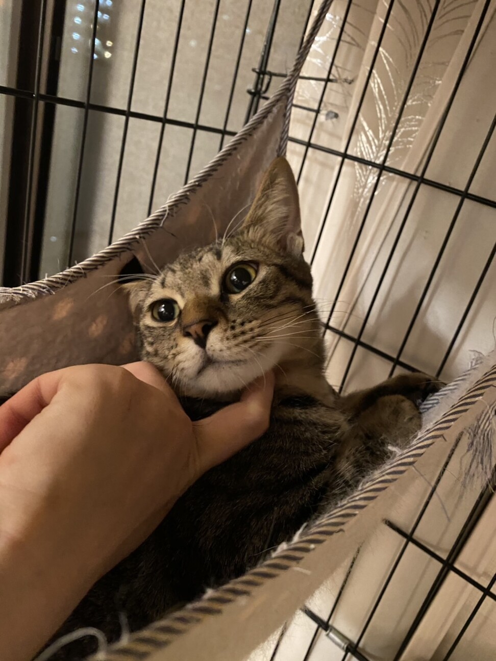  元気いっぱい☆フレンドリーなココくん サムネイル2