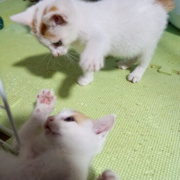 の写真