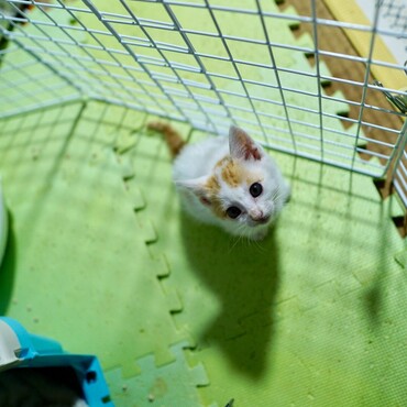 の写真