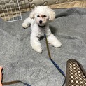 募集終了いたします
