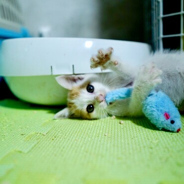 の写真