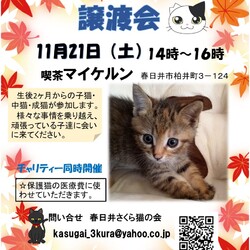ミニ譲渡会at喫茶マイケルン