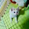 の写真