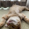 kira_0427