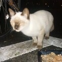 お願いします