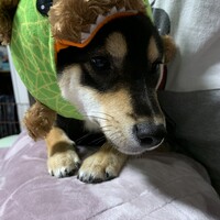 麦