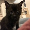 ９月２０日頃生まれの男の子♡ふわふわのくまちゃん♂