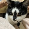 瑠璃茜色