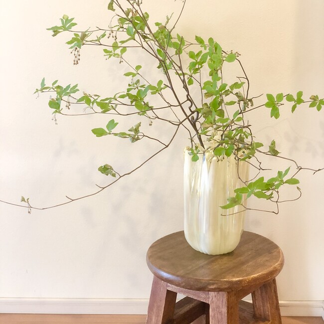 きみっつのカバー写真